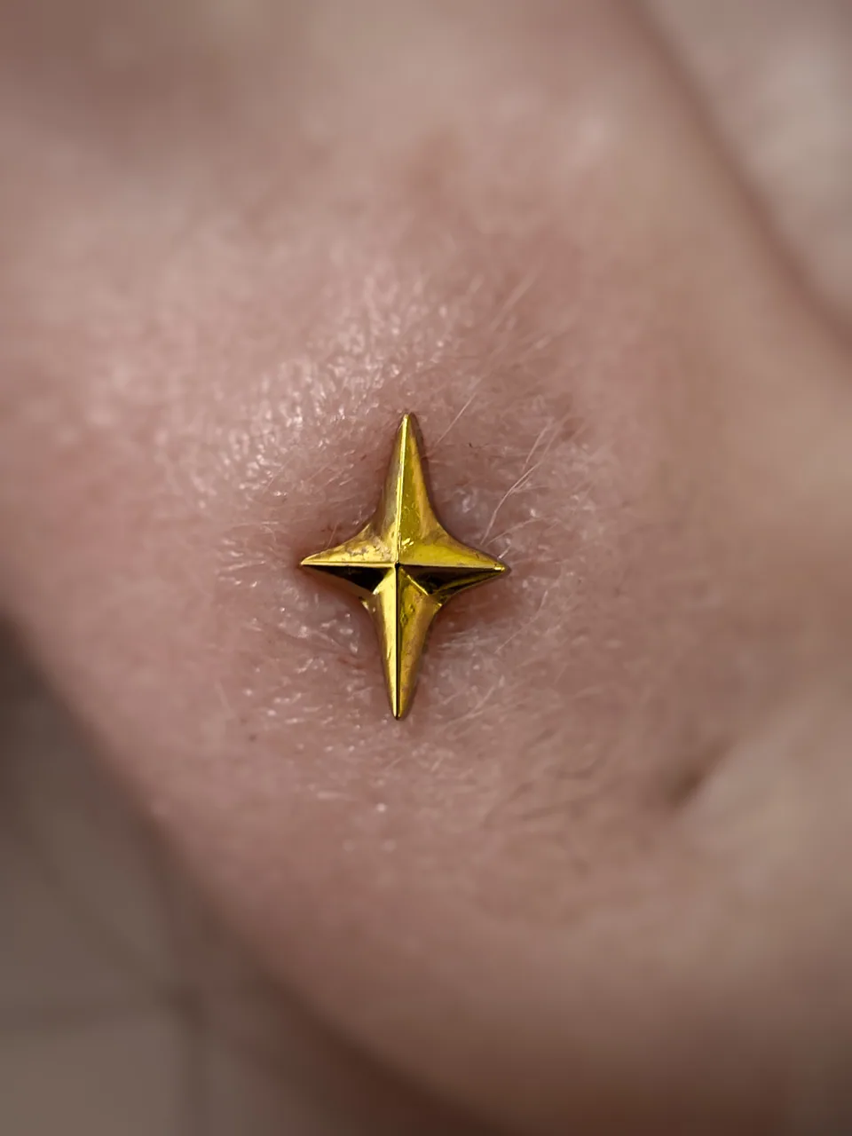 Piercing · 6 · Piercing por Ivonius Artz, Nero Art Tattoo en Palma